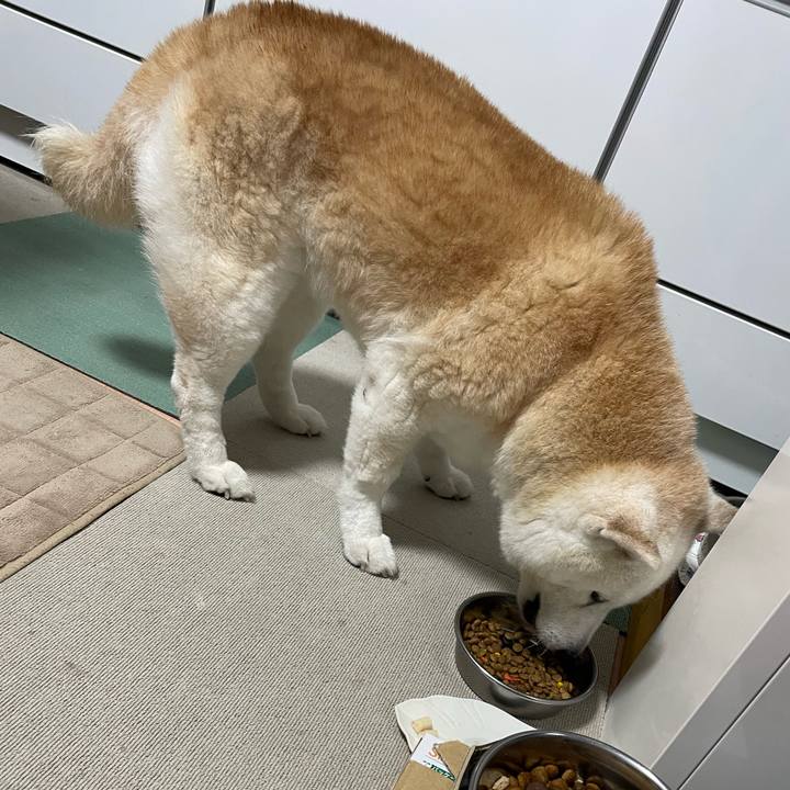 Ea58822a f3c8 4cbc 96a1 5e81ee8d7b6a 1709727348431