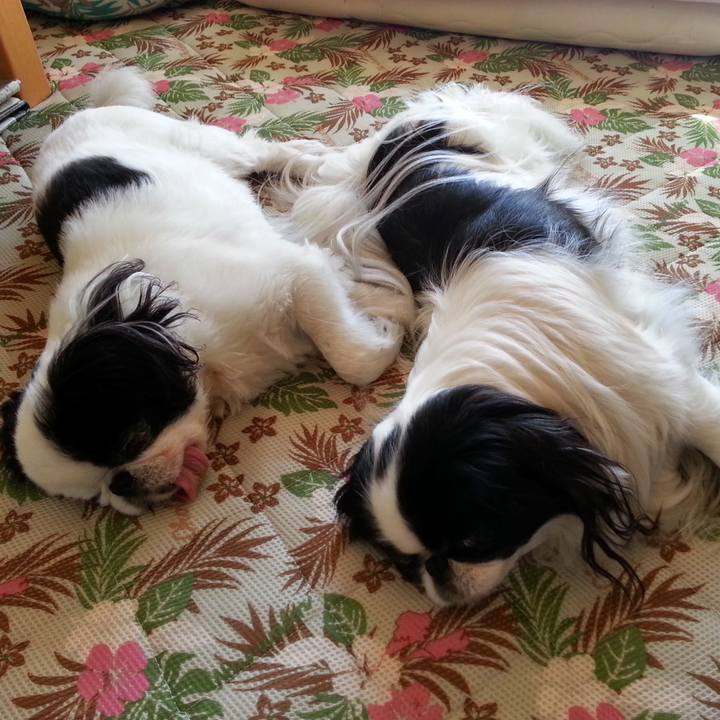 Ea589985 f83d 47a5 88ba d1b7a2e9d739 1723781632289