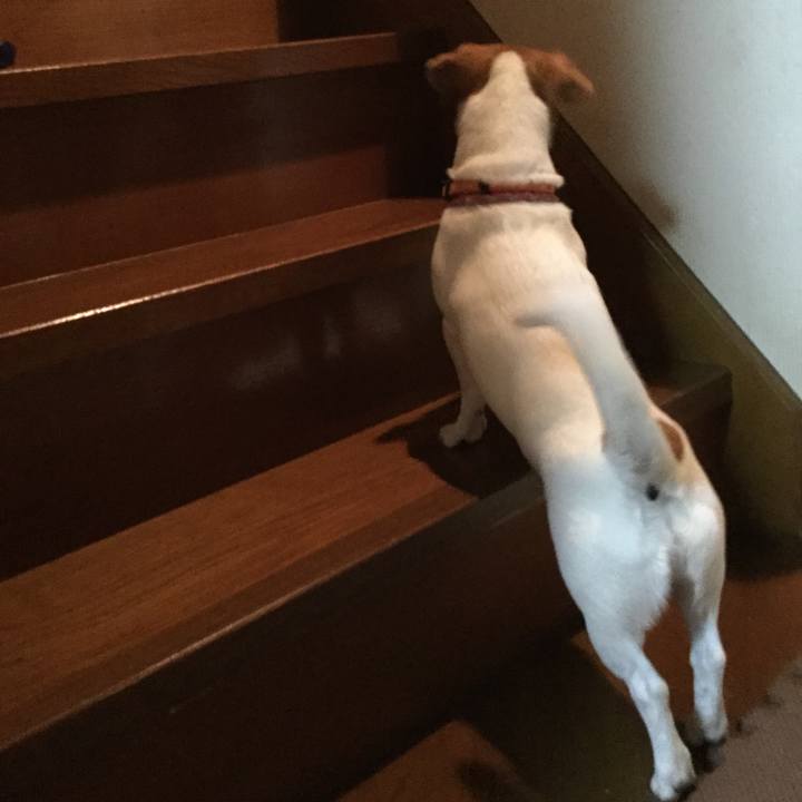 Ea58b434 b6d0 4f7e 9da0 4dfa3c9d265d 1525861740225