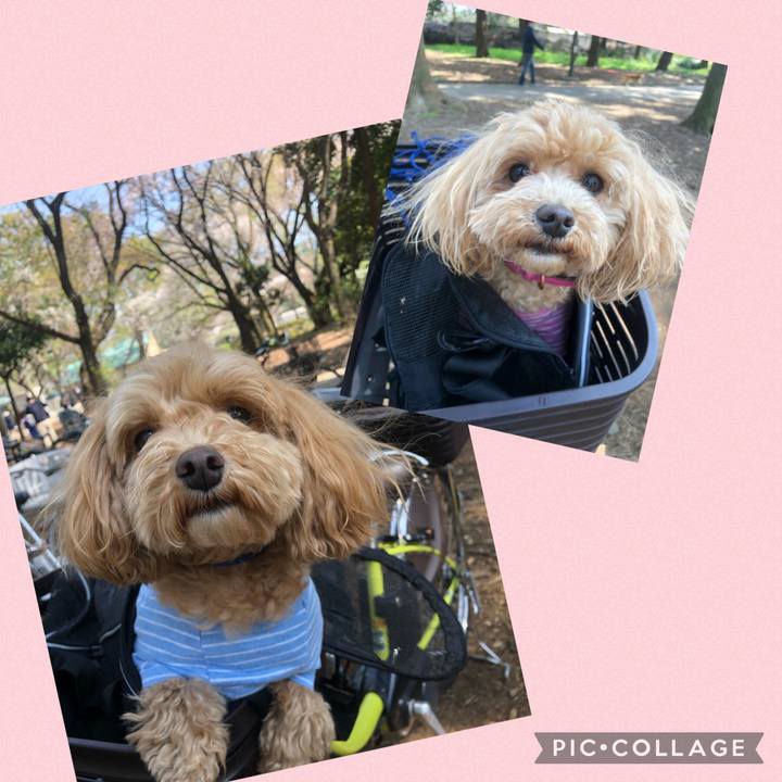 Ea58d118 5ab8 49b6 95c7 30d77548d72b 1616826520124