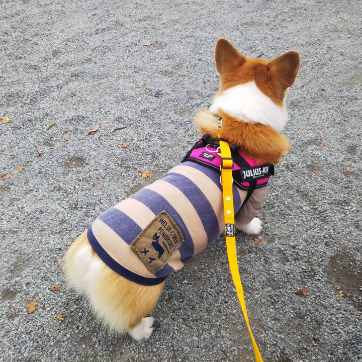 Ea58ef04 dfd1 46af 952f 1e8cb0170ec8 1635080393665