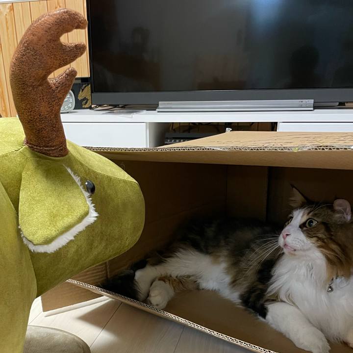 Ea5915a1 9a76 40ea 8119 870e4e583f90 1669027658471