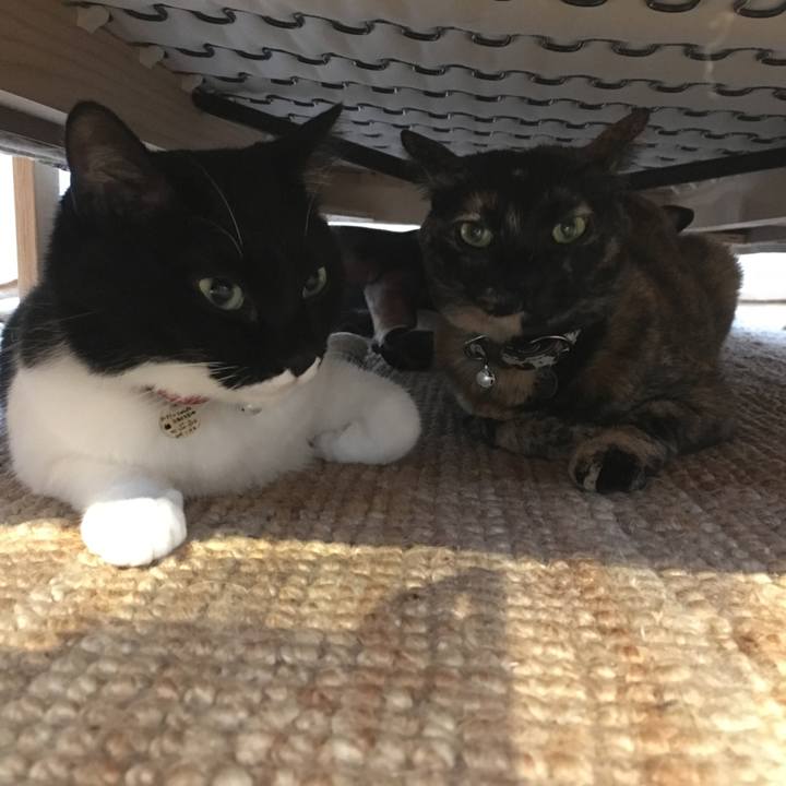 Ea591712 5ac1 4523 a7bf ff8187c24aca 1511746076230