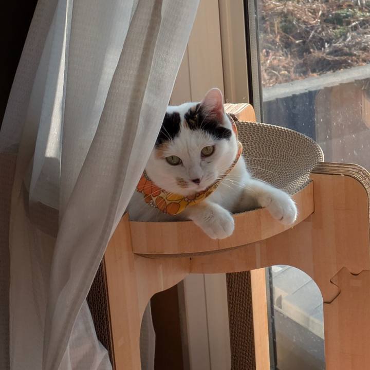 Ea592e5d e82d 4d6a 8137 8693eb6b53c8 1735692729606