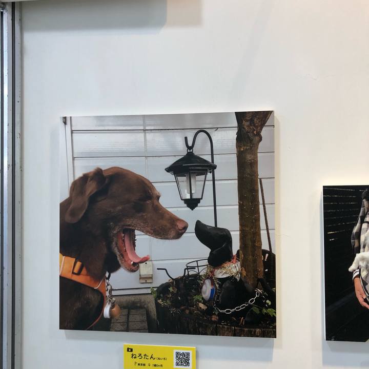 Ea595dfd 4470 4320 b683 421c80a087b9 1560048430648