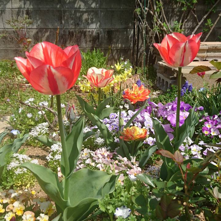 Ea59684d baee 458f 8876 ad121c5ca9fc 1522471821238