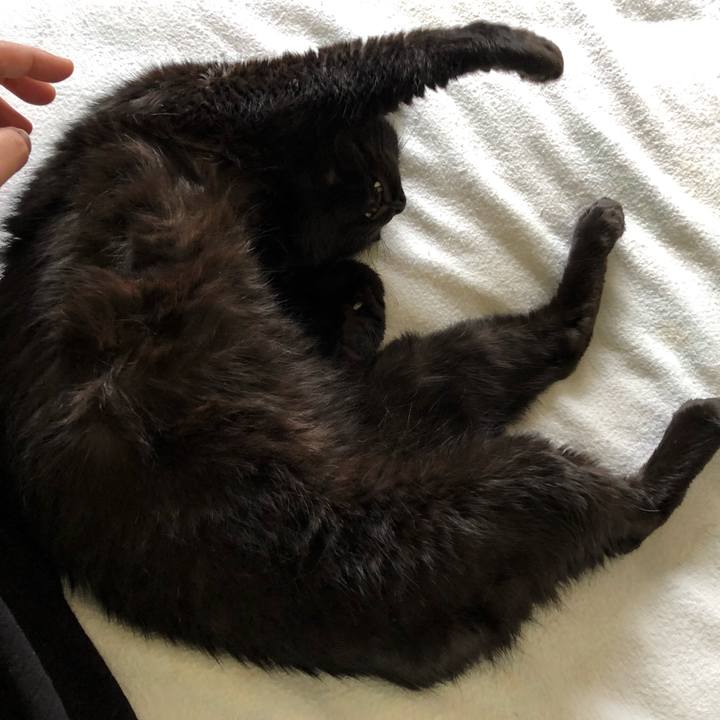 Ea5969d1 a944 463c bed4 ec3e2a2edafc 1566599324965