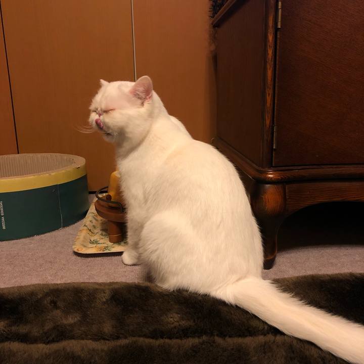 Ea597e27 6a39 4b8a bf7d 04f586a3f144 1612704184909