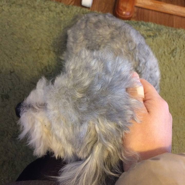 Ea598470 73f8 4e6c 9c72 64107b073b24 1517354895720