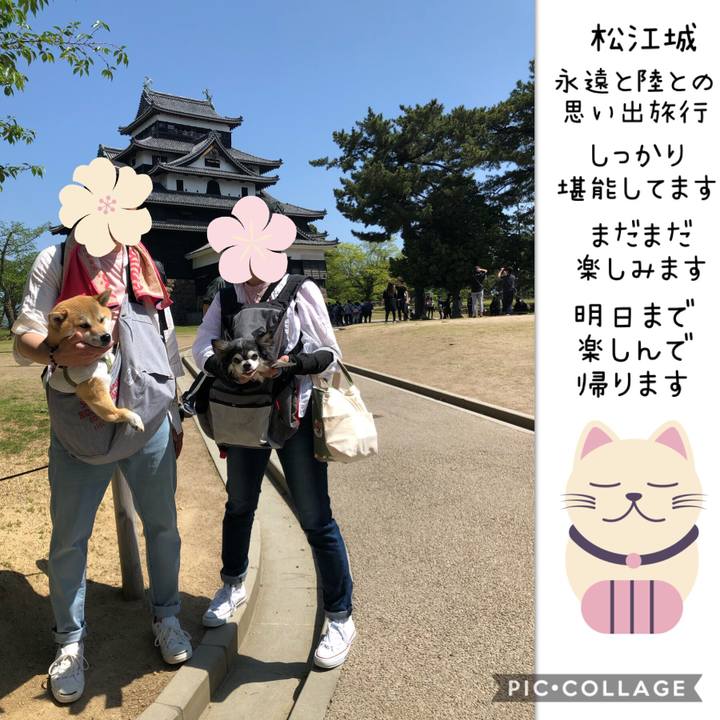 Ea598528 ccf7 402e 9121 ca19a9729ce2 1556957621000