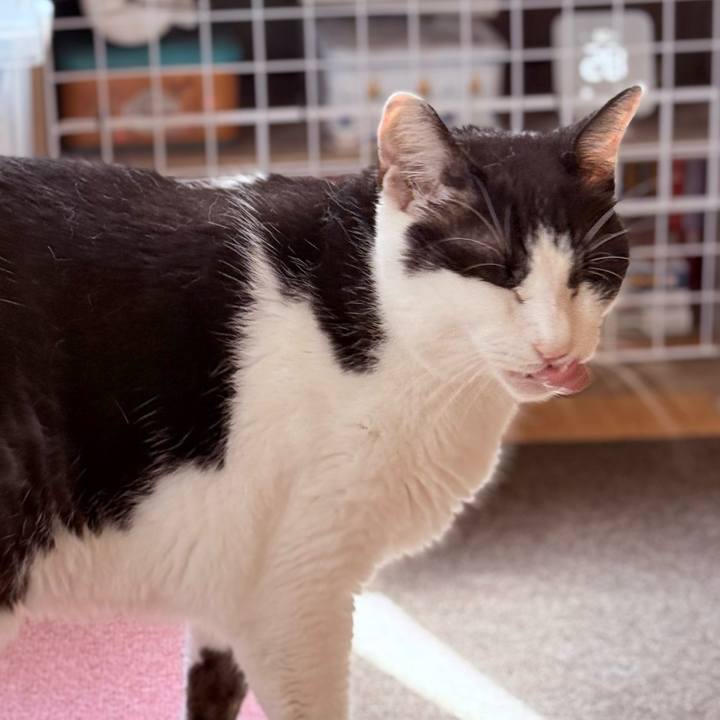 Ea598df4 e974 4ac9 a2b8 6ea96066d9e1 1758251823733