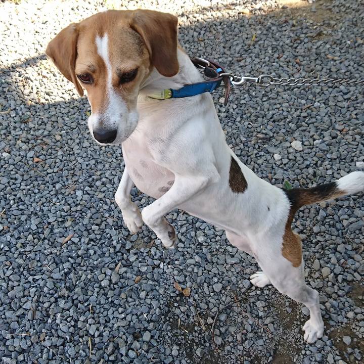 Ea5996c8 9b5b 43f0 9163 cafce1998140 1569463760168