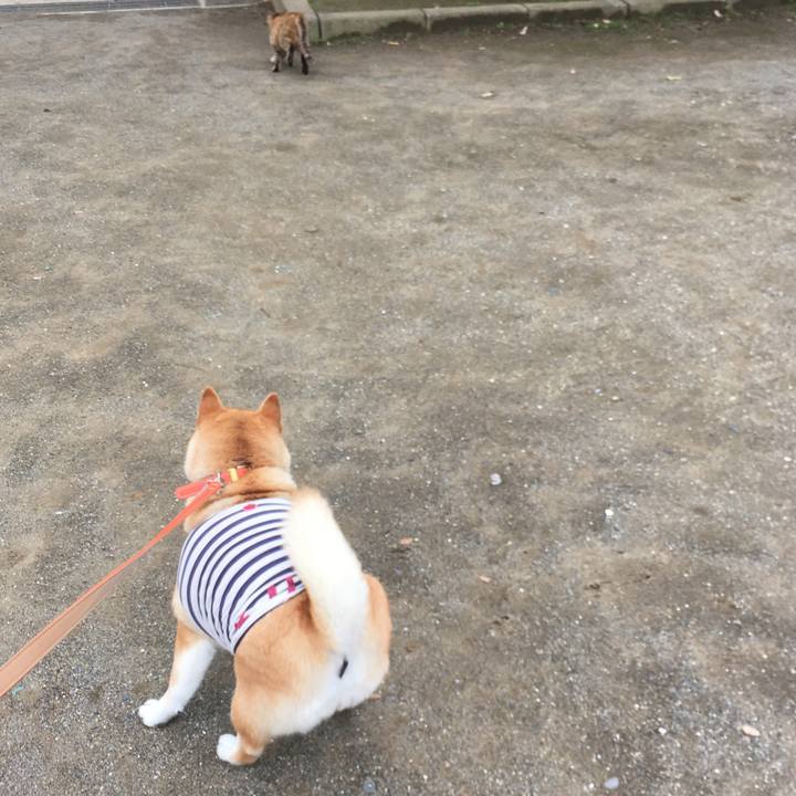 Ea5998b9 1fb7 4402 9506 cd58ed4f69e1 1613299504417