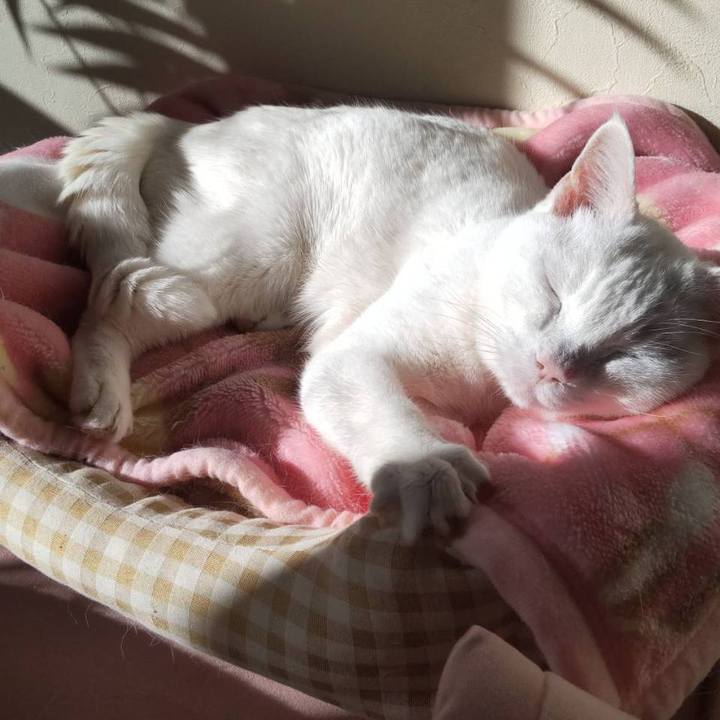 Ea59a753 ec50 4a0d af8d 58460436beb9 1768661466401