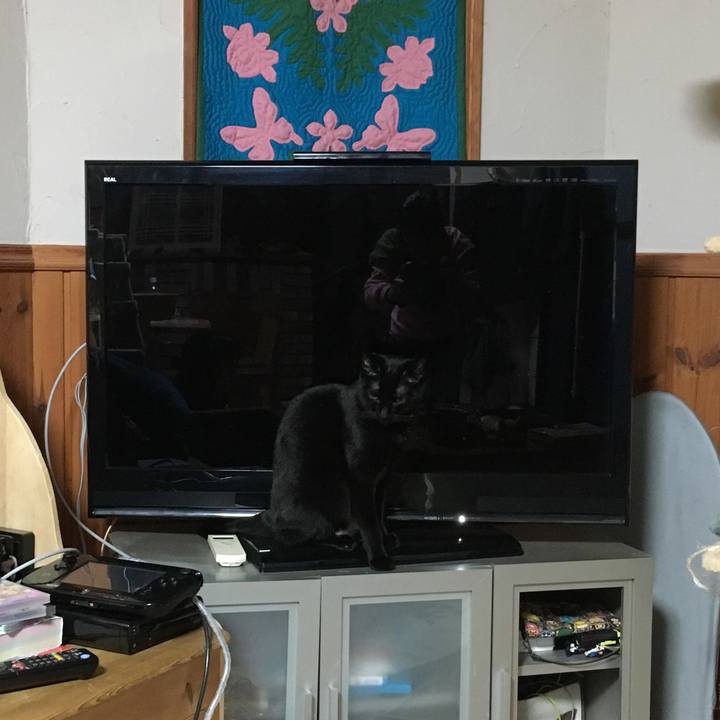 Ea59ae36 4e1f 4bf5 bea5 2c9bfb783c2a 1520256994097