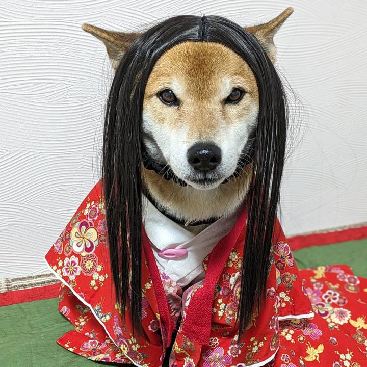 Ea59bf06 1528 4d07 b6c4 42a15c87a255 1705308739764