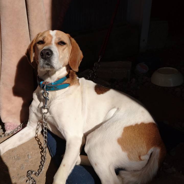 Ea59da21 4a5f 4ebb 9c6a dfe6ed93a8d0 1614232214493