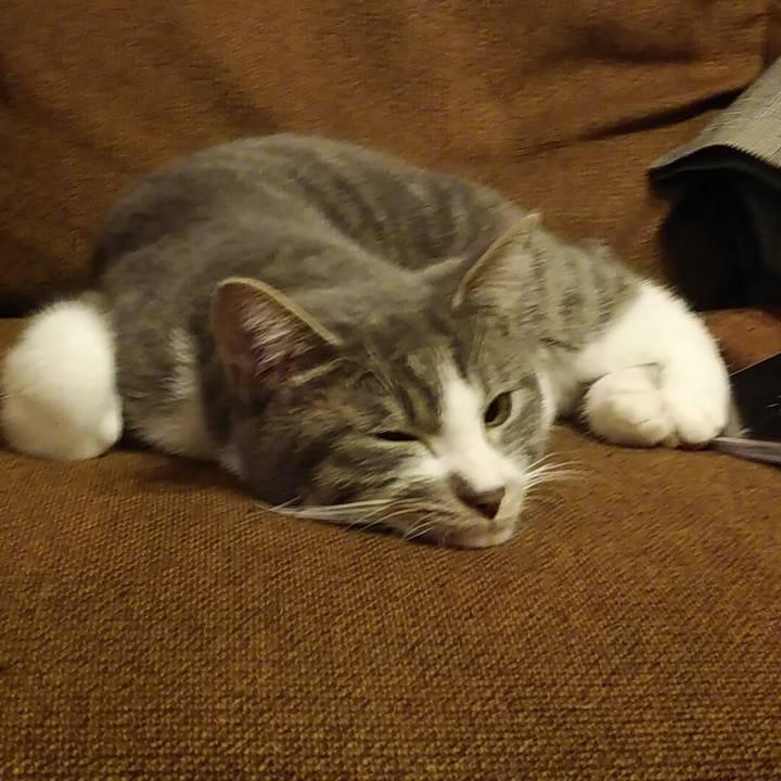 Ea59ecfd 9dd0 407c 972f 9000f69f6d15 1577376504954