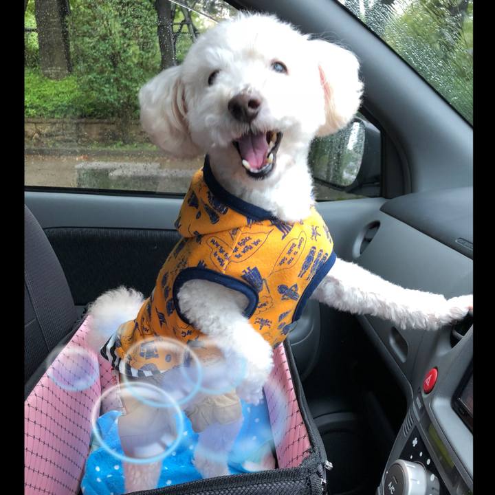 Ea5a113d 706e 4949 bd79 3728f0b2302c 1537613920568