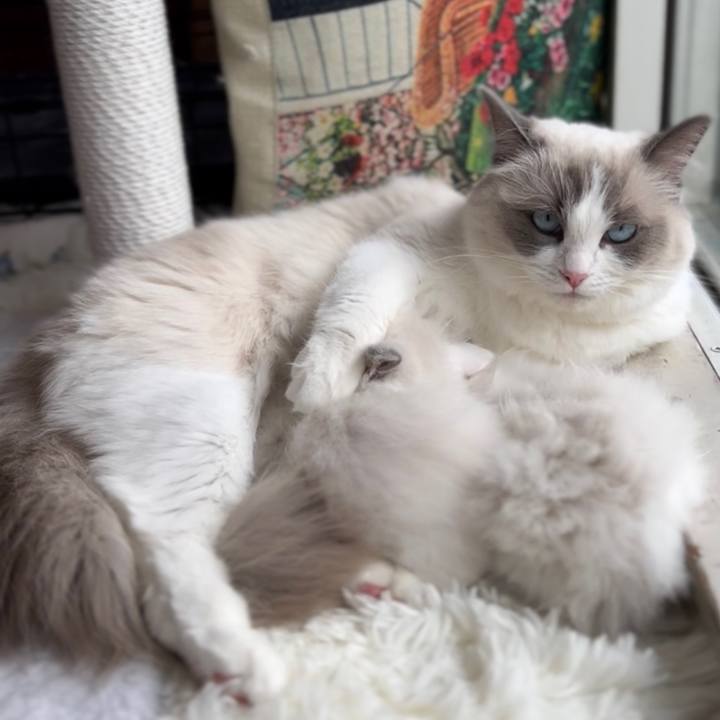 Ea5a14e1 8839 4a8b bbbd 0b3f835d83a5 1681478823631