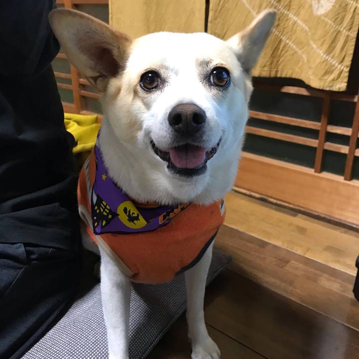 Ea5a1d51 727c 4dab 9a3f 685429952597 1634473230277