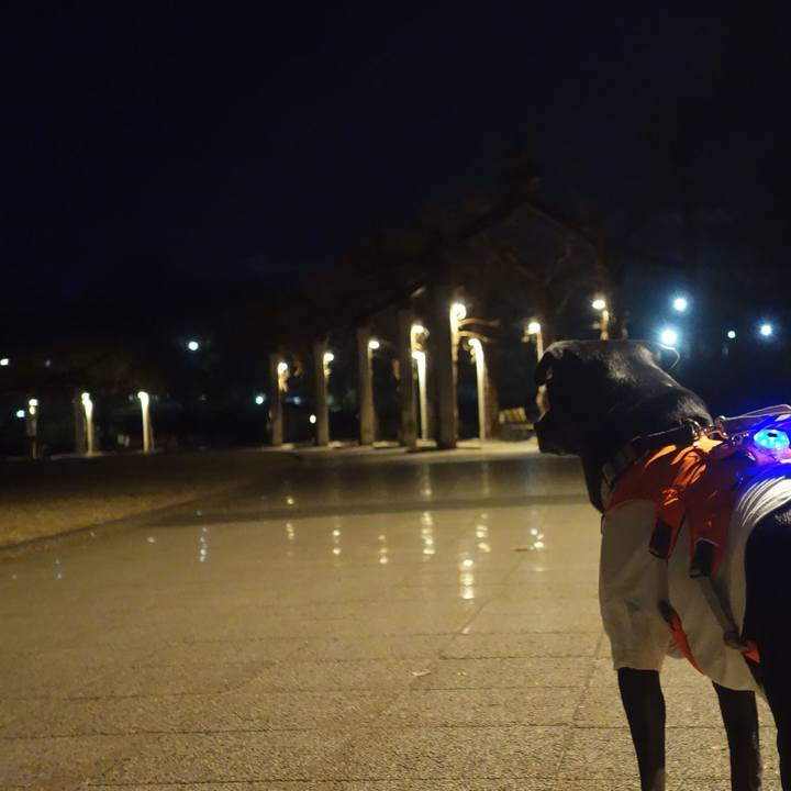 Ea5a3653 9b92 4404 b8d7 43d3a6bc93b8 1704711333020