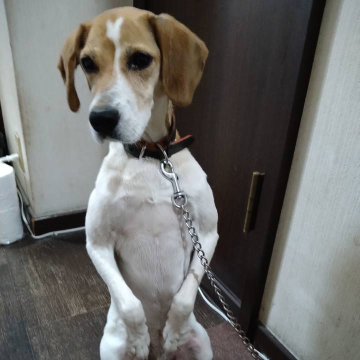 Ea5a7a9b b6be 4520 b019 dcbd3a344eb9 1656167104616