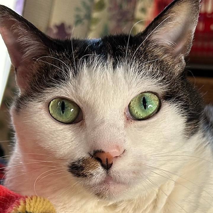 Ea5ae320 6fd1 414b b6ce 1267ae4e5388 1777072201459