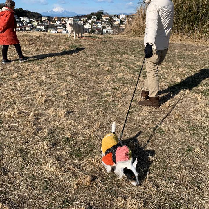 Ea5b141f 2e61 4acf 9190 67b3a80f4d89 1674608048028