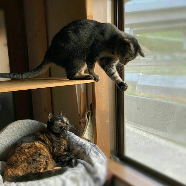 Ea5b3313 65da 41ab 9a73 339adae8bf12 1589243817296