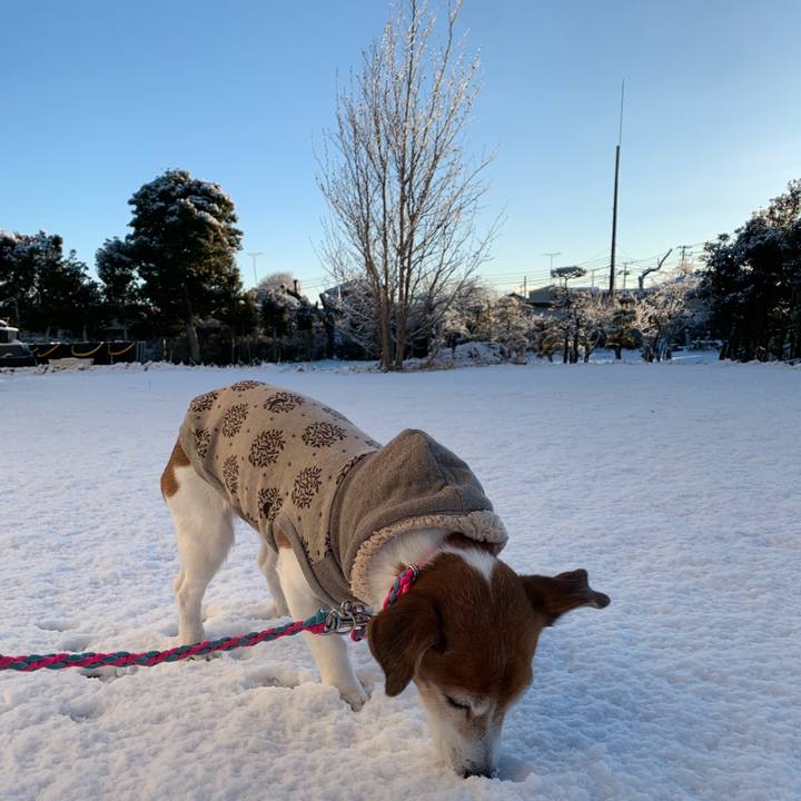 Ea5b86b2 5b54 421e a984 403b67db21ad 1548993353571