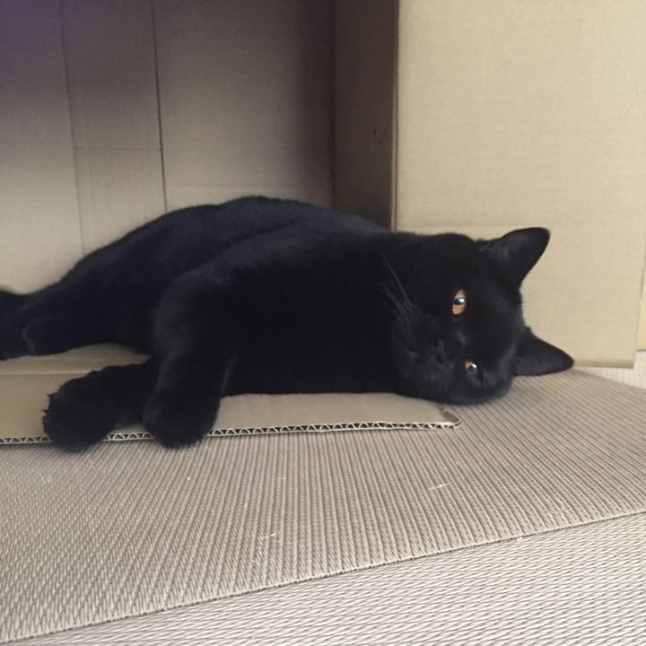 Ea5b8949 71cb 4df9 8d5b ab77cea020d0 1522993554609