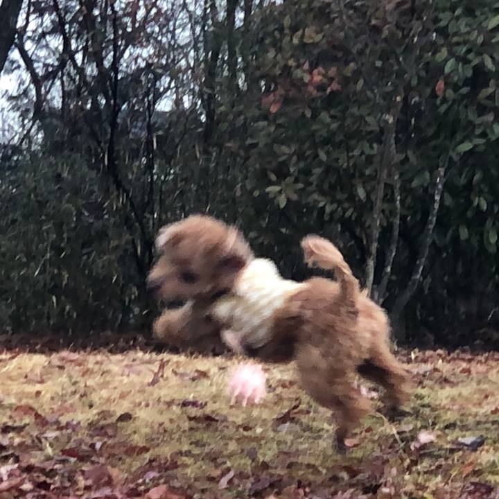 Ea5bb0e9 f1bb 4560 84ca 3a5a7b120bca 1581560917906