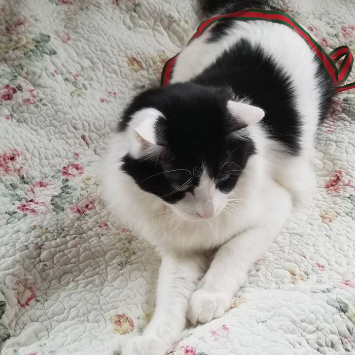 Ea5c2bb1 f0e0 485e b2b8 f895b426d07b 1555811346469