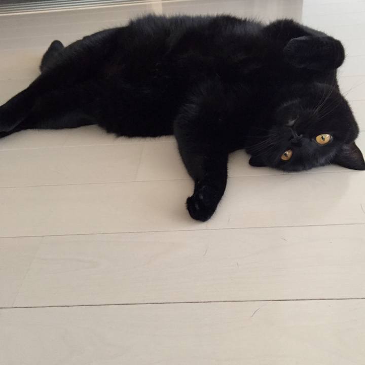 Ea5c2bc7 c7f4 4991 a425 81de03d0fa29 1536272898425