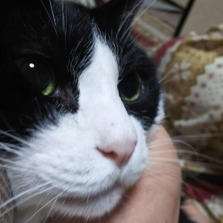 Ea5c4000 0ba9 4e4f ab50 d3007273757d 1571445459279