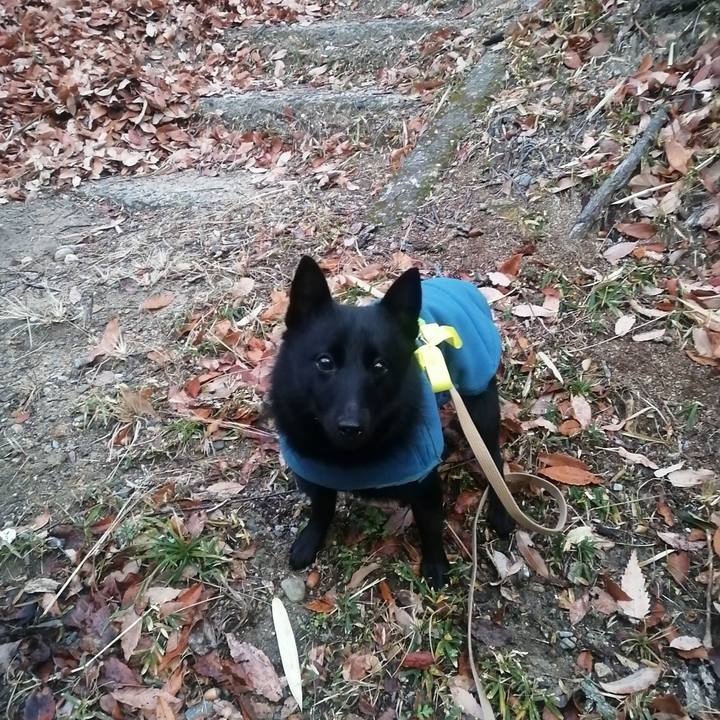 Ea5c54a2 4556 4ba1 bb65 ffceeedd6478 1642543054670