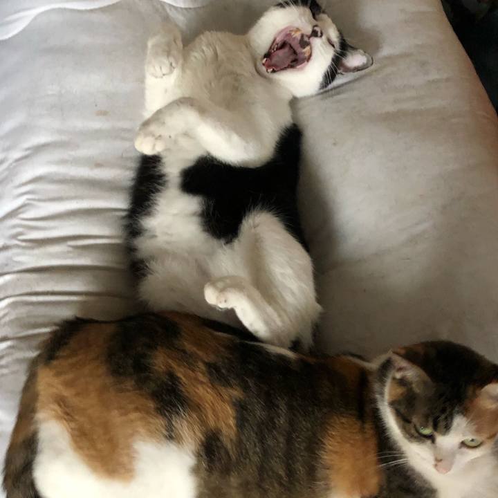 Ea5c6577 b8a7 4b86 8b61 7b32c1a29d4c 1593399087777