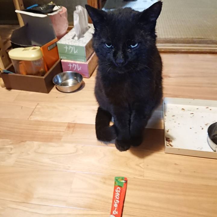 Ea5c71c1 8816 4c81 822e 0c51d071e165 1622549386823