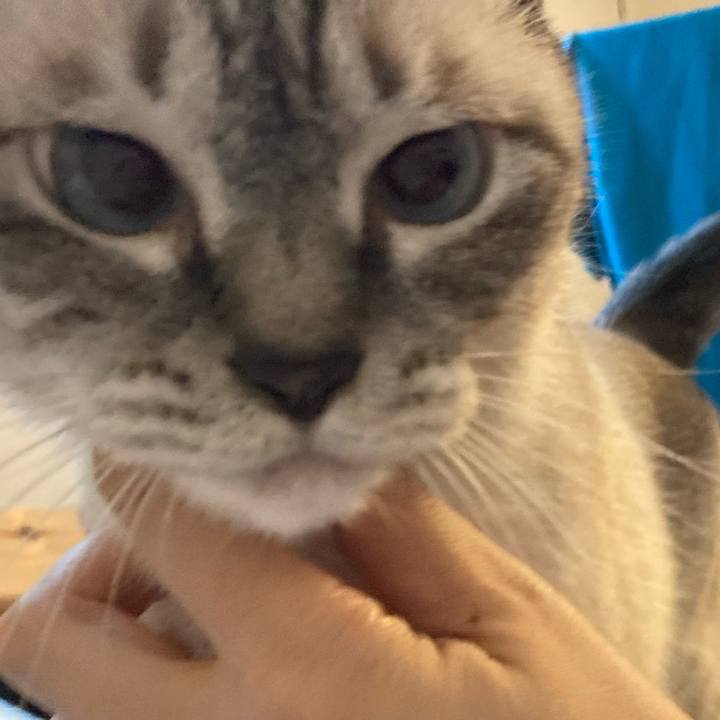 Ea5c9e55 20b6 4351 a706 1c8943a02211 1692521252308