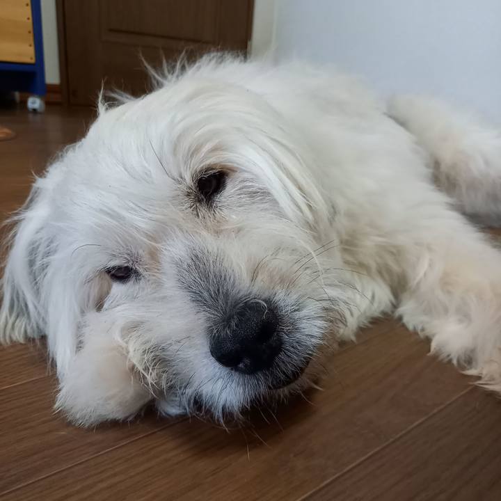 Ea5cff88 482a 44c8 972c 3ff5b8becd73 1624961104629