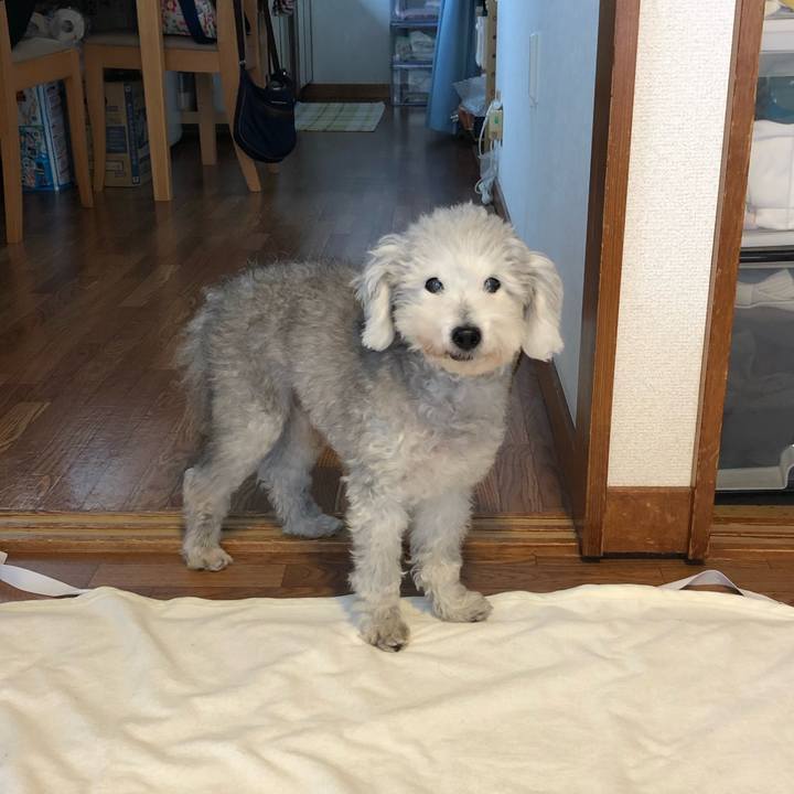 Ea5d0235 517a 4dbd a564 85aadf4cf690 1637627723003