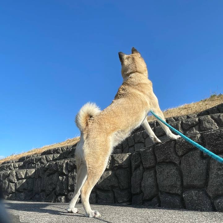 Ea5d2563 2888 419e 9e93 14e80882abad 1679140468922