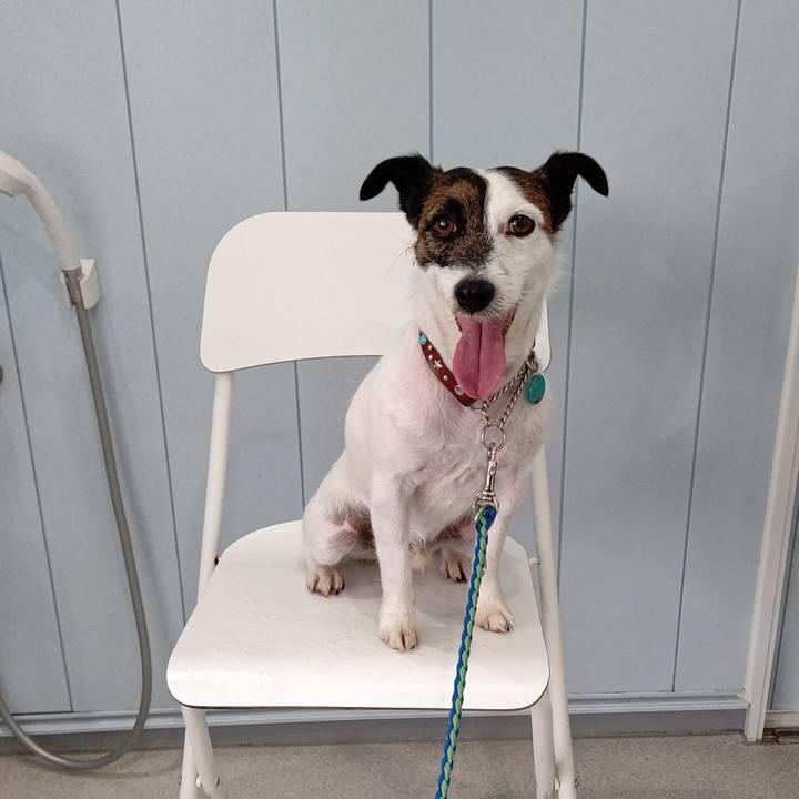 Ea5d2bb9 ae65 455d 967b 6b81c578664e 1640773022332