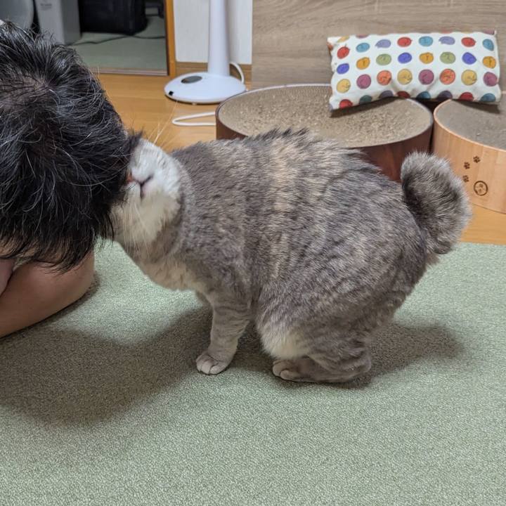 Ea5d41bb b785 4b8c baf8 c0faf9415cf4 1739681727952