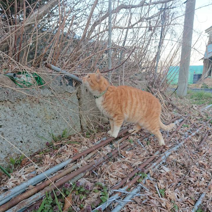 Ea5d9d13 8930 4533 a507 f65212d4a30d 1585129641106