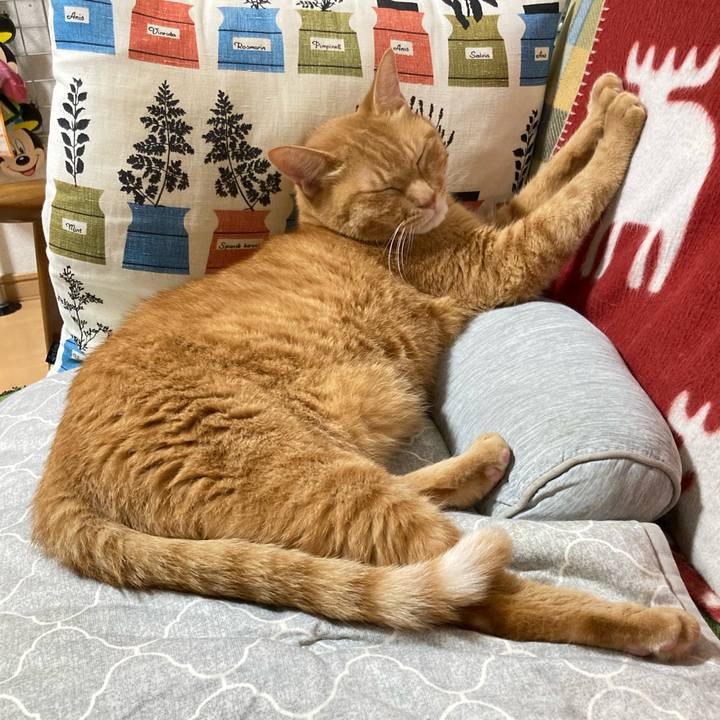 Ea5db395 baa4 4f10 a81d 5564d1c7c38c 1758762802546