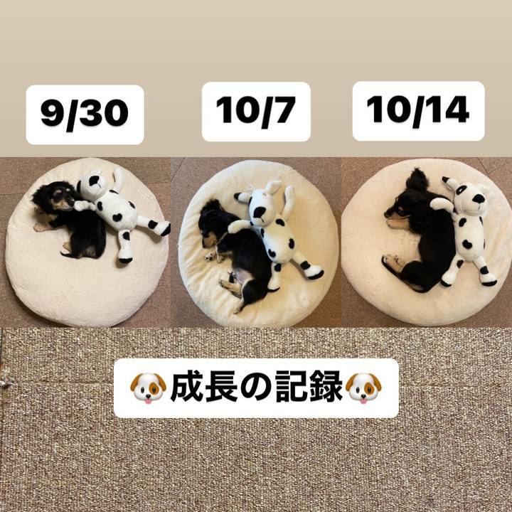 Ea5df4ca 20b9 44d0 b488 04ad073a54e6 1665711924064