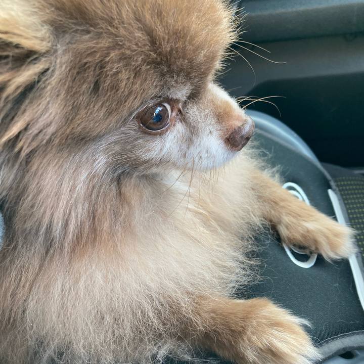 Ea5df7ef 69b4 4931 953d 67545b42fcdc 1701928935502