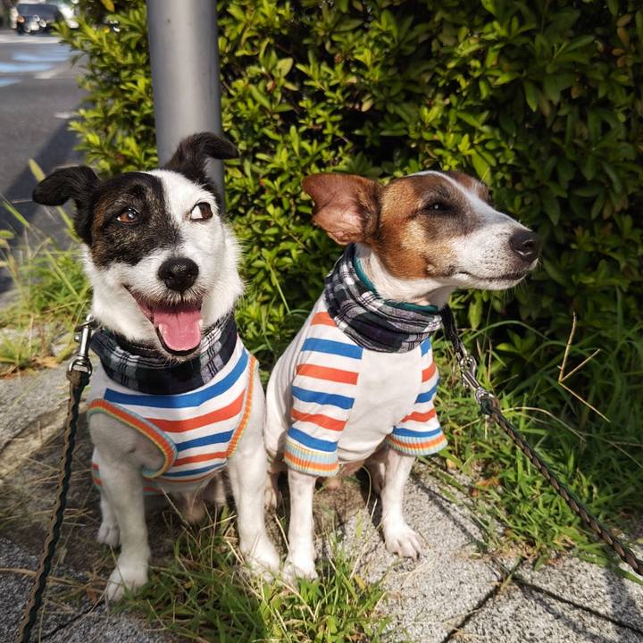 Ea5e0307 5a7f 4060 9dd2 fb48eae0abea 1754692851343